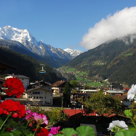 Haus Tasser Mayrhofen Bagian luar foto