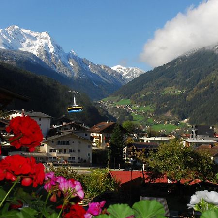 Haus Tasser Mayrhofen Bagian luar foto